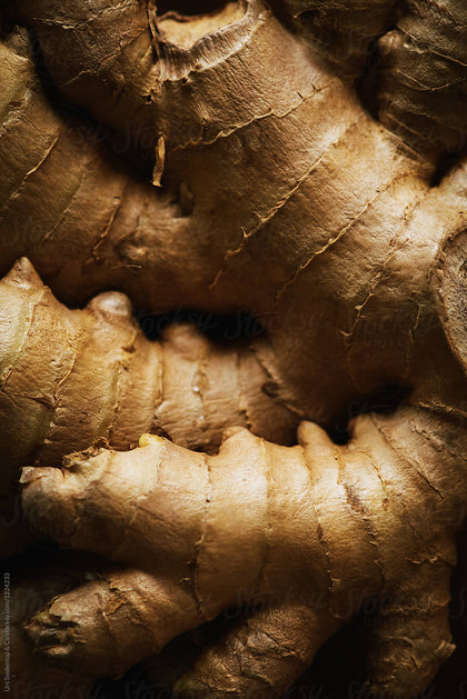 Ginger Root Extract