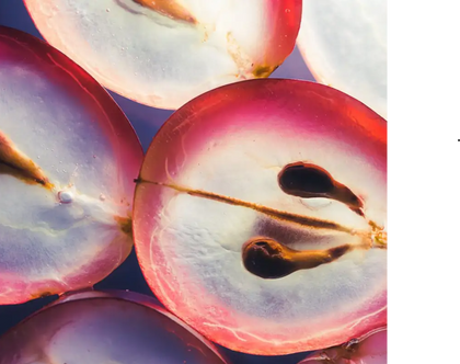 Grape Seed Extract